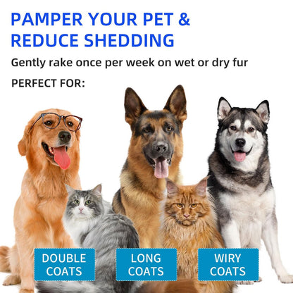 🔥FLash Sale 49% OFF🔥Pet Spray Hair Removal Comb