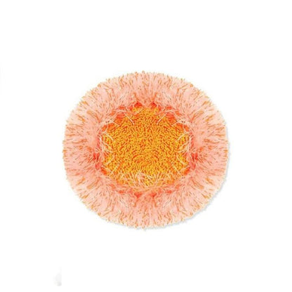 🔥BIG SALE 🔥🔥360° Rotatable Adjustable Cleaning Mop