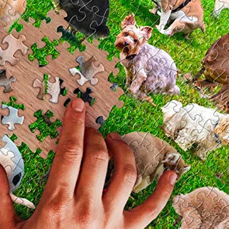 1000 Pieces Puzzle, 101 Dogs Pooping Puzzle