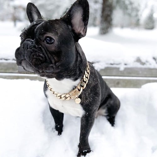🎄Early Christmas Sale 50% OFF Thick Gold Chain Pets Safety Collar (adjustable)