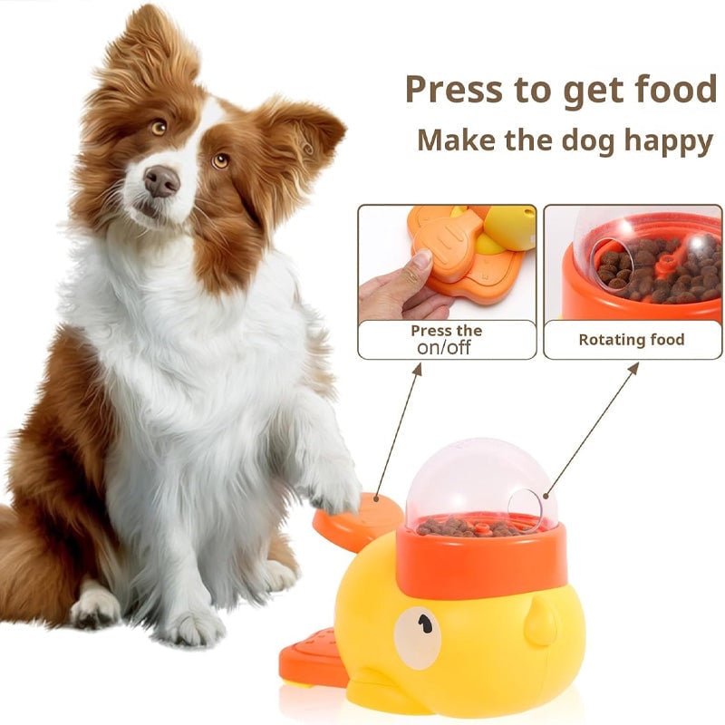 2-in-1 Interactive Dog Puzzle Toy & Slow Feeder