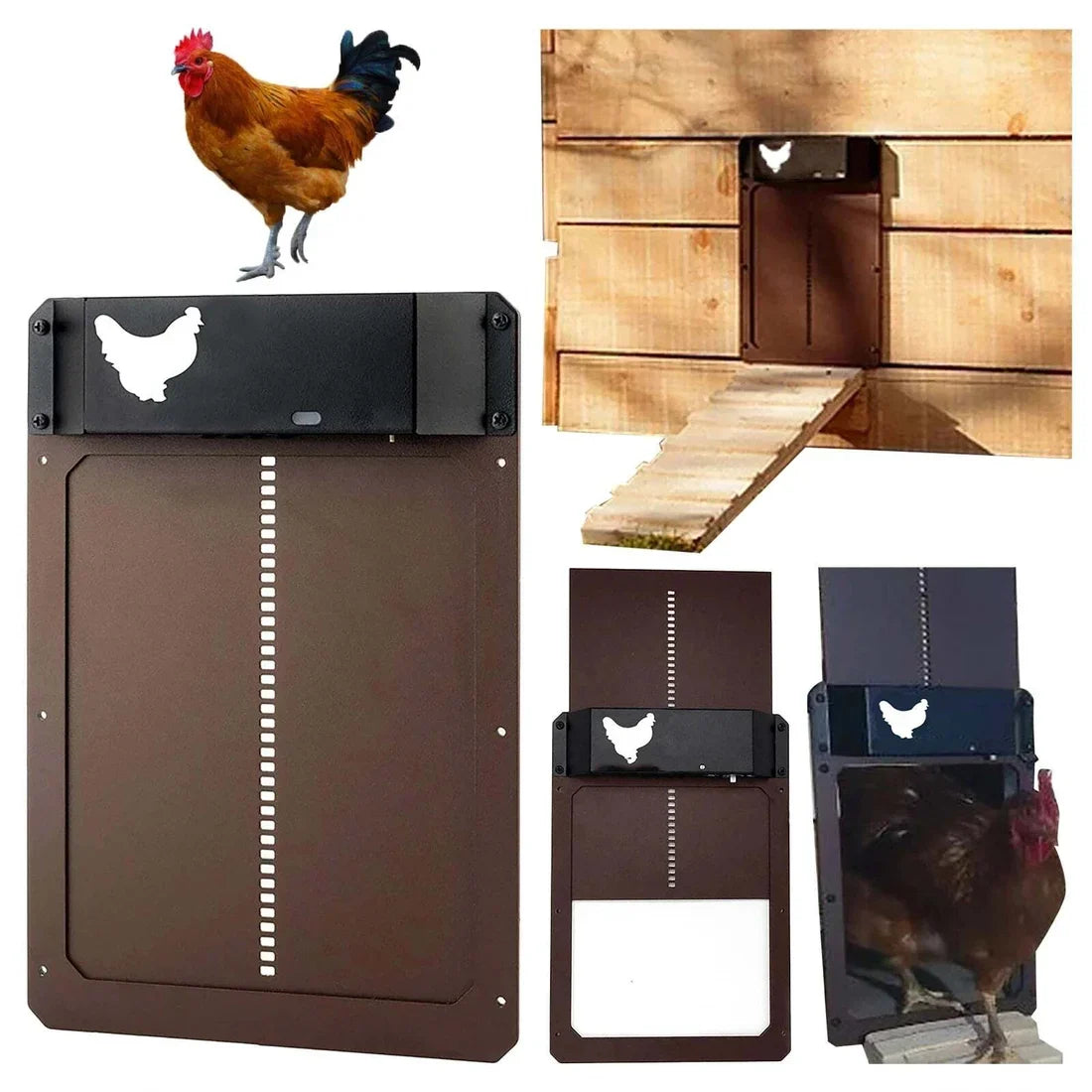 🎉LAST DAY 49% OFF🎉 --Automatic Chicken Coop Door
