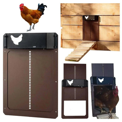 🎉LAST DAY 49% OFF🎉 --Automatic Chicken Coop Door