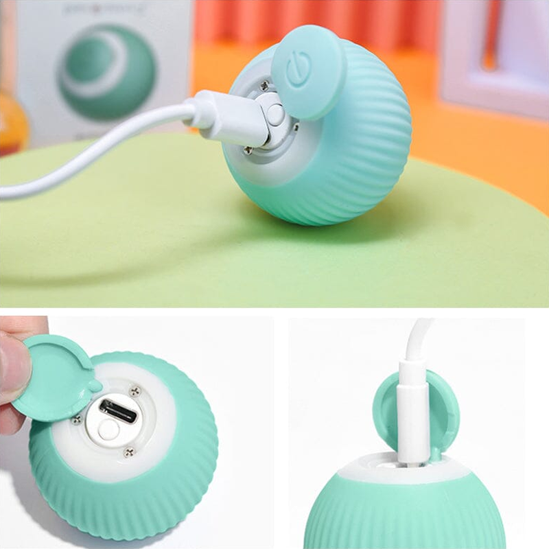 ✨2 in 1 Simulated Interactive hunting cat toy