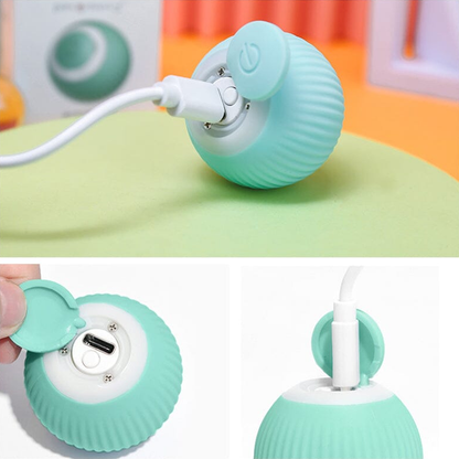 ✨2 in 1 Simulated Interactive hunting cat toy