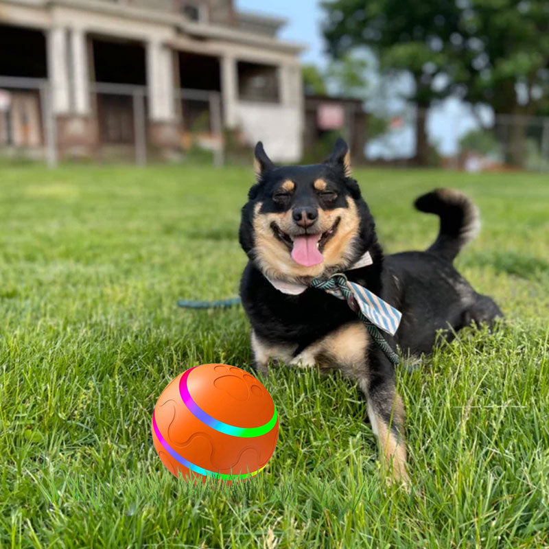 🐾Pet Virus Bouncing Ball