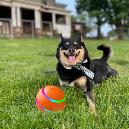 🐾Pet Virus Bouncing Ball