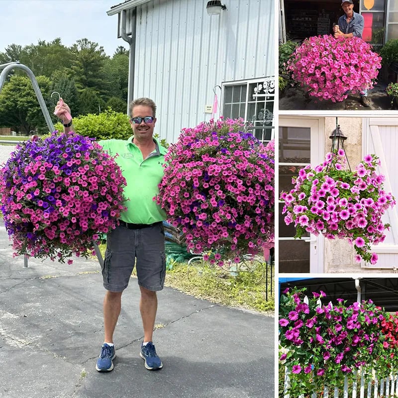 💖Last Day 49% OFF - UV Simulation Artificial Petunias