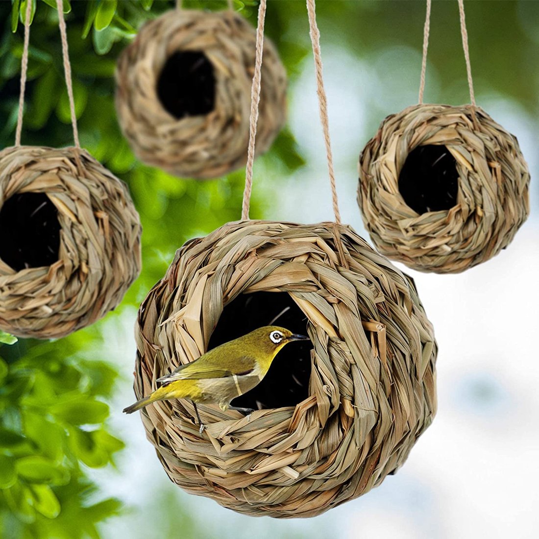 💲ONE DAY 49% OFF-🐦Hummingbird Nest House