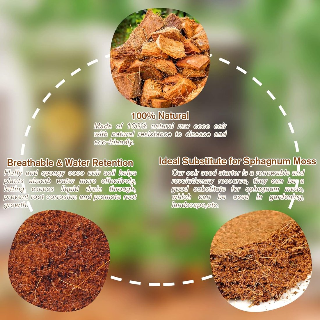 🔥Seasonal promotion- 49% OFF🔥-Premium Organic Coconut Coir Bricks for Plants（Collected from Pacific island countries）🥥