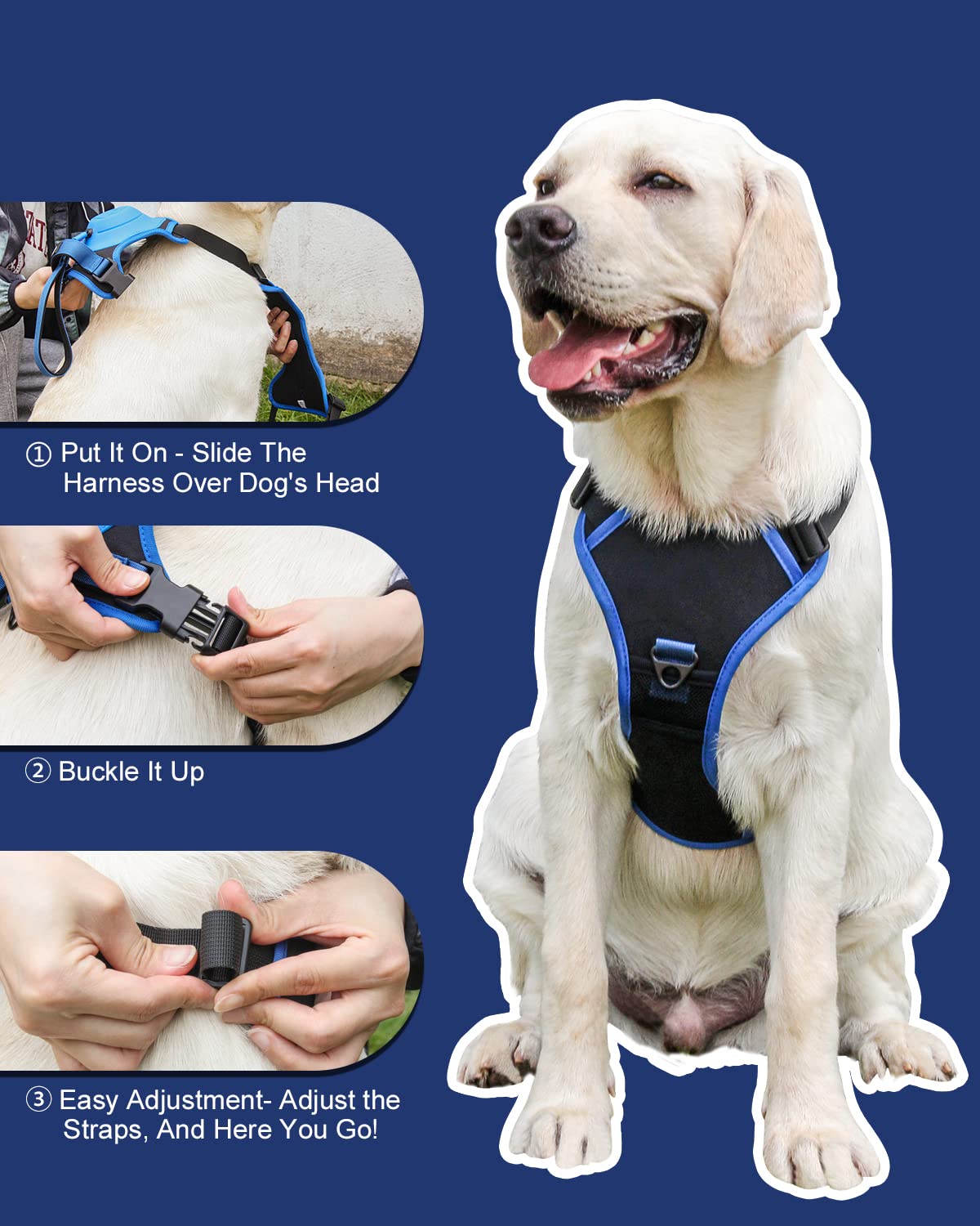 SUMMER HOT SALE - Dog Harness and Retractable Leash Set All-in-One
