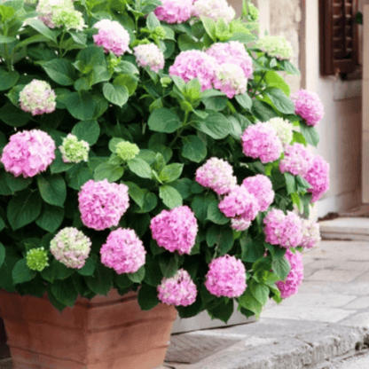 ✨Last day 49% OFF - Artificial hydrangea flowers for outdoors💐