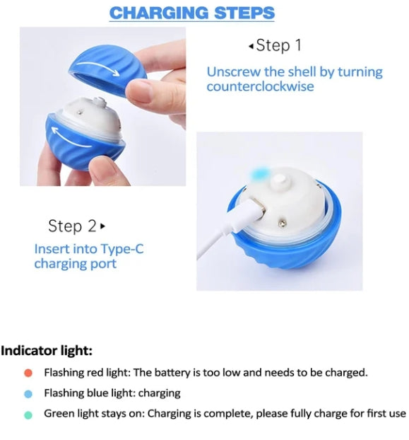 🔥2025 Hot Sale 50% OFF💥-Interactive Dog Toys Dog Ball