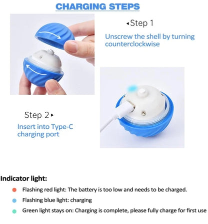 🔥2025 Hot Sale 50% OFF💥-Interactive Dog Toys Dog Ball