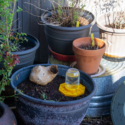 🔥Hot Sale 49% OFF - 🐝💦Bee Watering Dish (3D Printed)