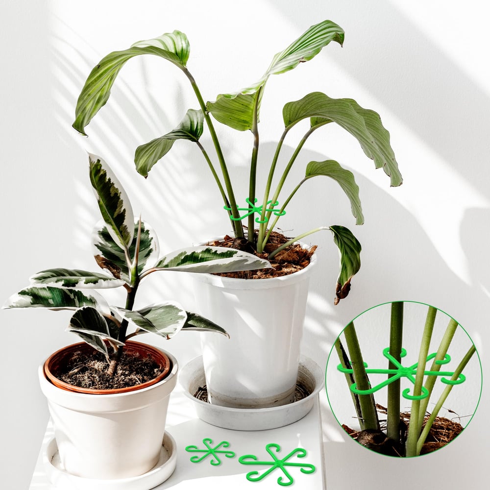 🔥Last Day 49% OFF -🌿Plant Stem Support Set