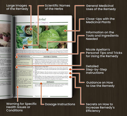 Meaningful Gift🧙‍♂️Survival Guide for the Apocalypse - 250 Powerful Remedies at Your Fingertips