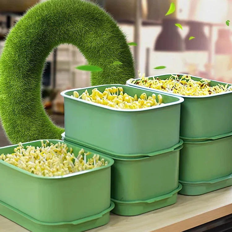 Stackable Bean Sprout Growing Box
