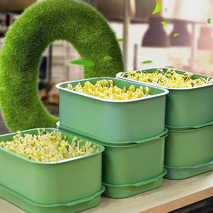 Stackable Bean Sprout Growing Box