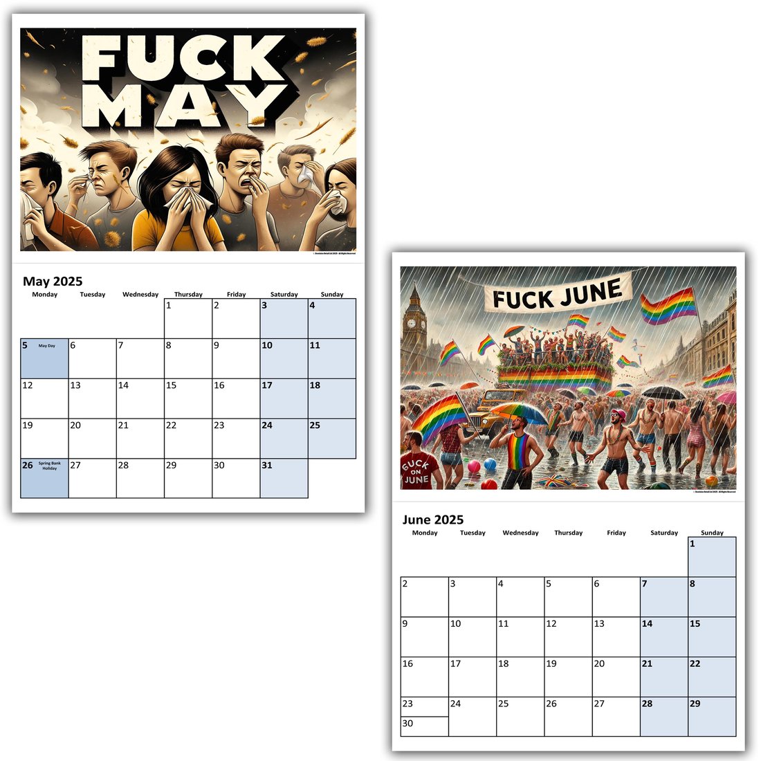 2025 Fuck The Year Adult Calendar