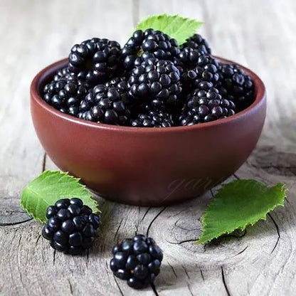 🔥LAST DAY PROMOTION 49% OFF - 🔥Sweet Giant Blackberry Seeds