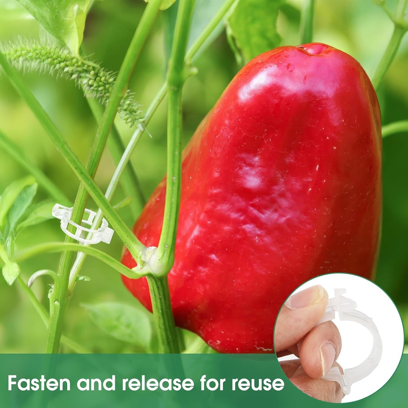 Vegetable Plant Support Clips