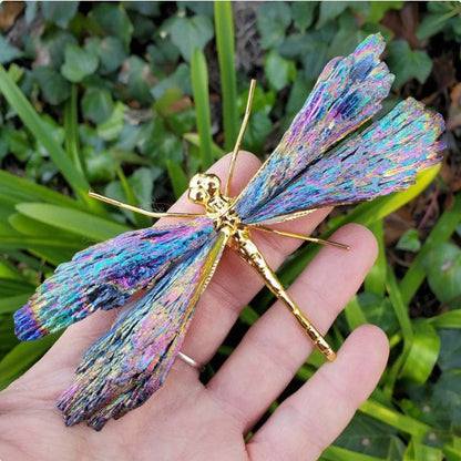 💥AURA TOURMALINE KYANITE DRAGONFLY💥🔥BIG SALE - 49% OFF🔥