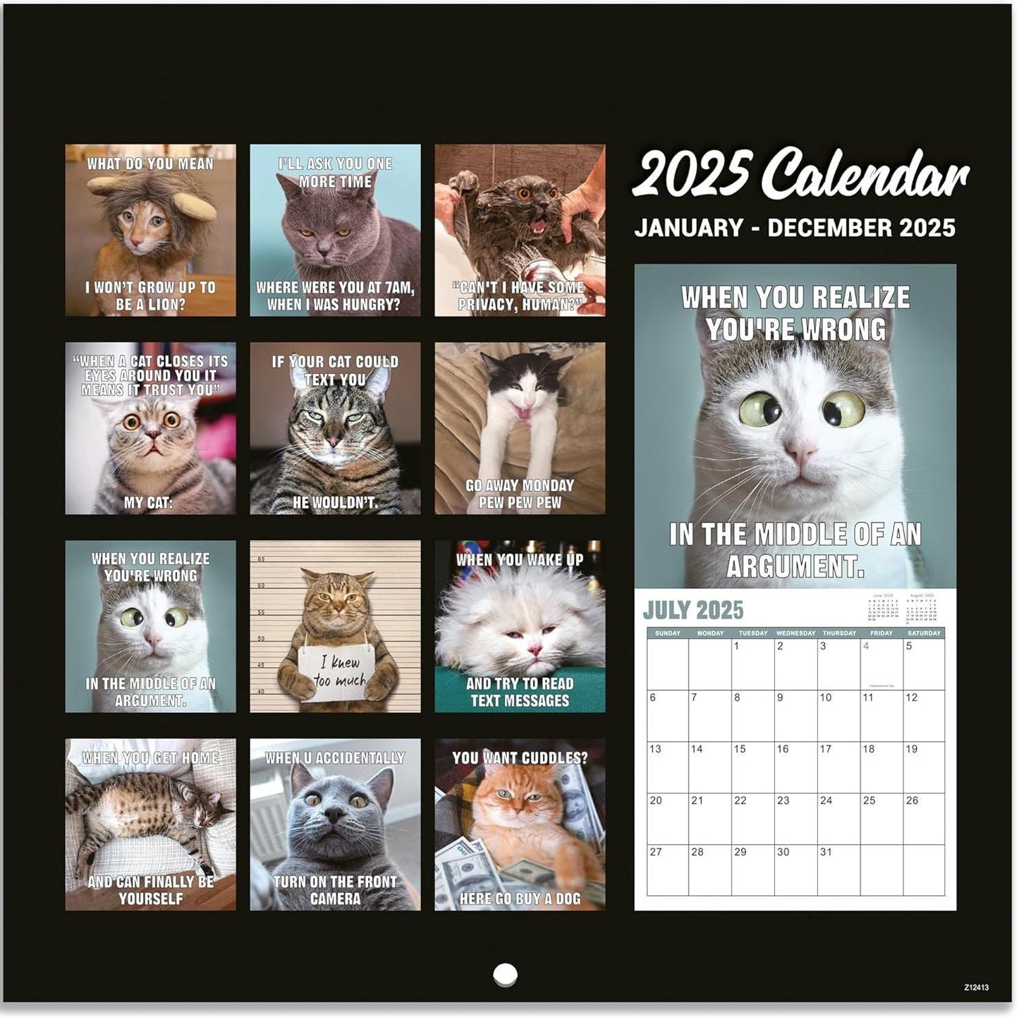 🔥Christmas Hot Sale - 🐱Funny Cat Calendar 2025📅