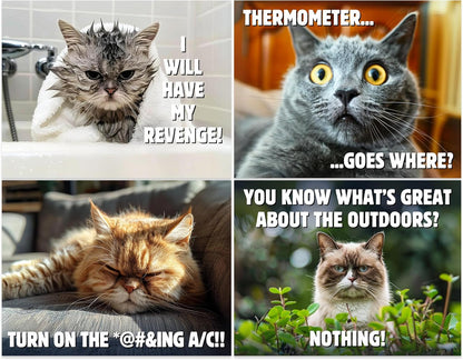 😾2025 Peed-Off Cats Calendar