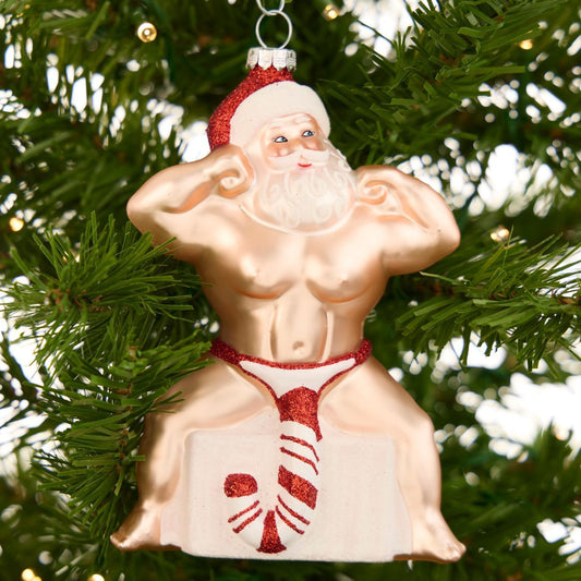 🔥Hot Sale 50% OFF - 🤣Funny Claus Christmas Ornament(6")