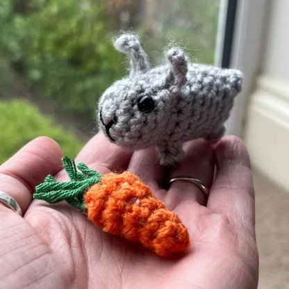 No-sew Matchbox Crochet Pet Gift