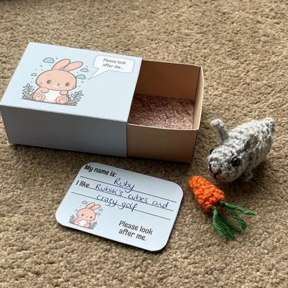 No-sew Matchbox Crochet Pet Gift