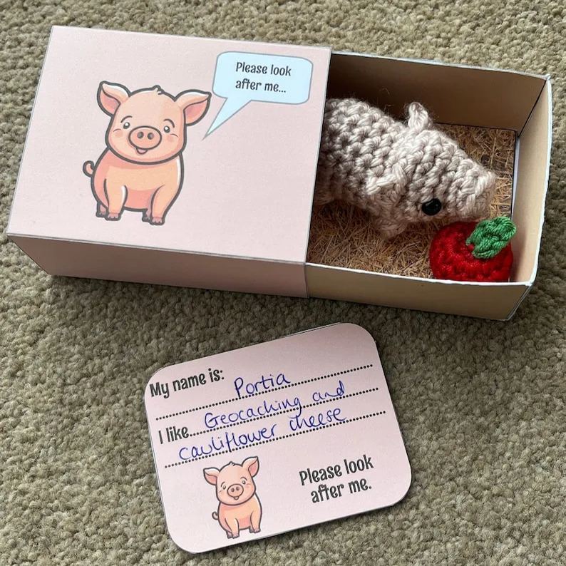 No-sew Matchbox Crochet Pet Gift