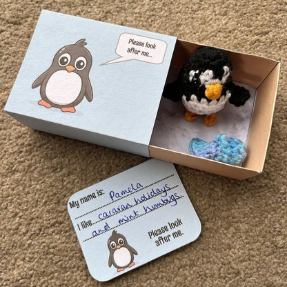 No-sew Matchbox Crochet Pet Gift