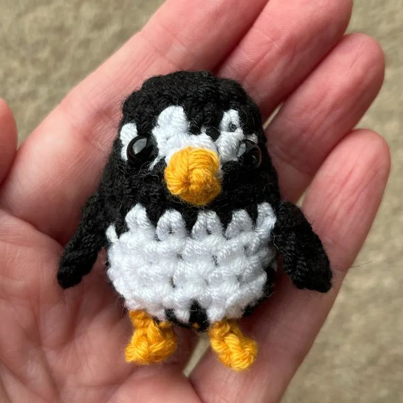 No-sew Matchbox Crochet Pet Gift