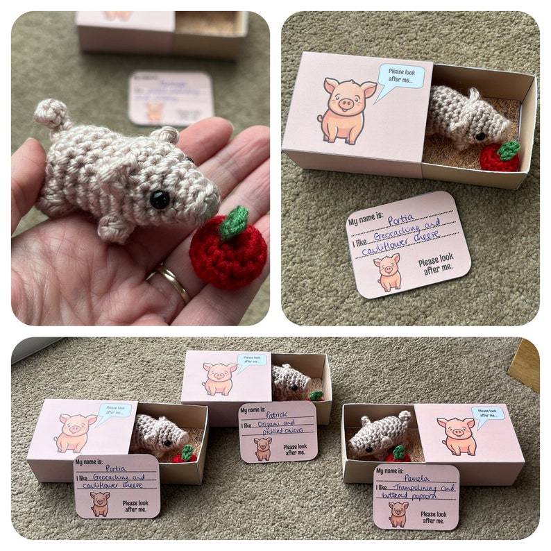 No-sew Matchbox Crochet Pet Gift