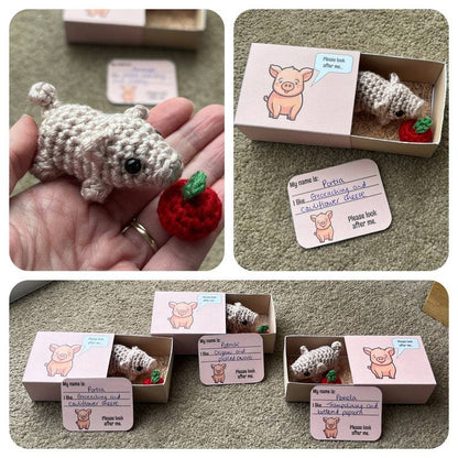 No-sew Matchbox Crochet Pet Gift
