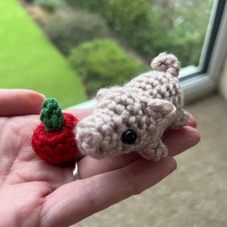 No-sew Matchbox Crochet Pet Gift