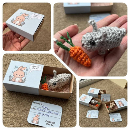 No-sew Matchbox Crochet Pet Gift