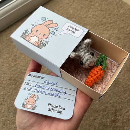 No-sew Matchbox Crochet Pet Gift