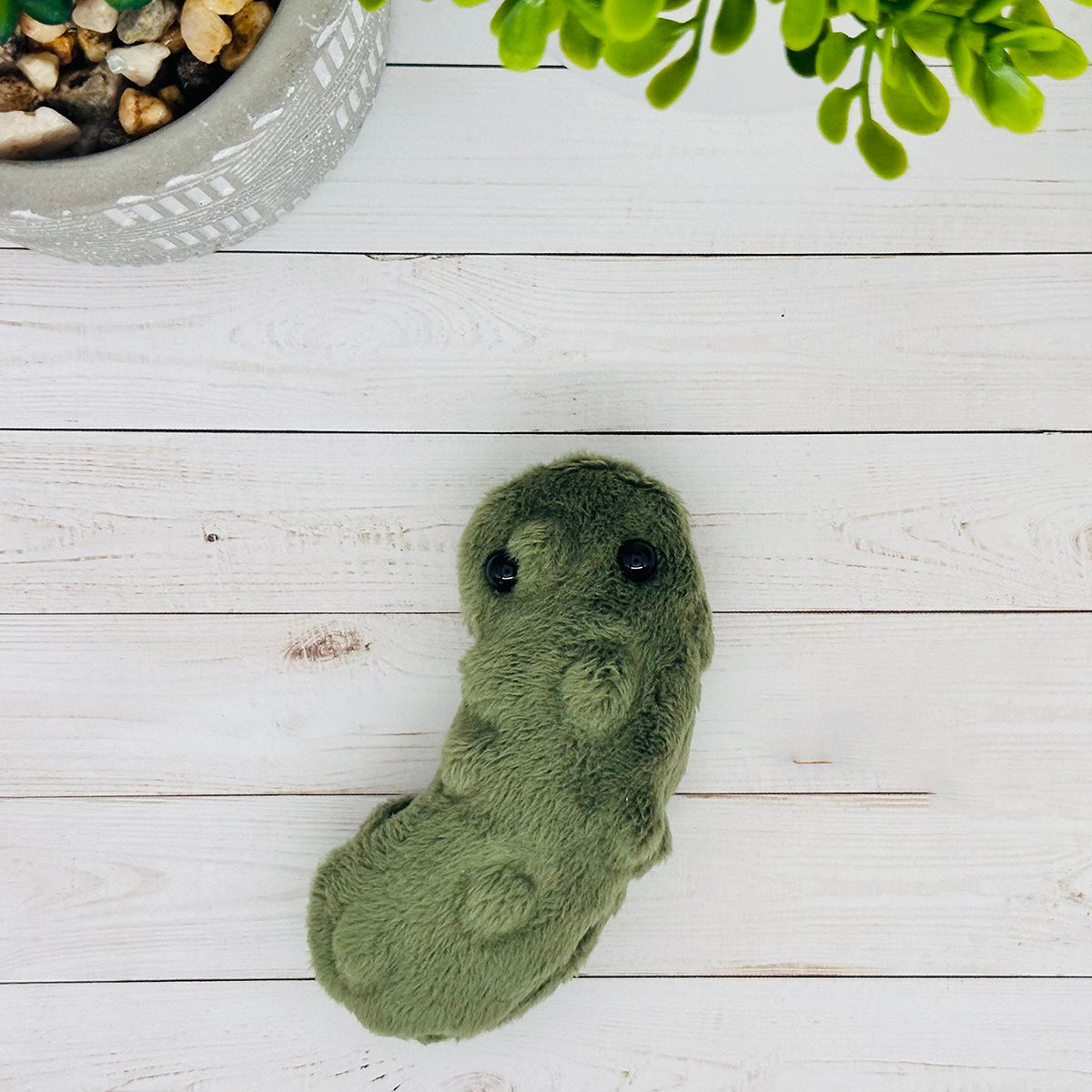 🥒Pocket Pickle Sensory Comfort Toy