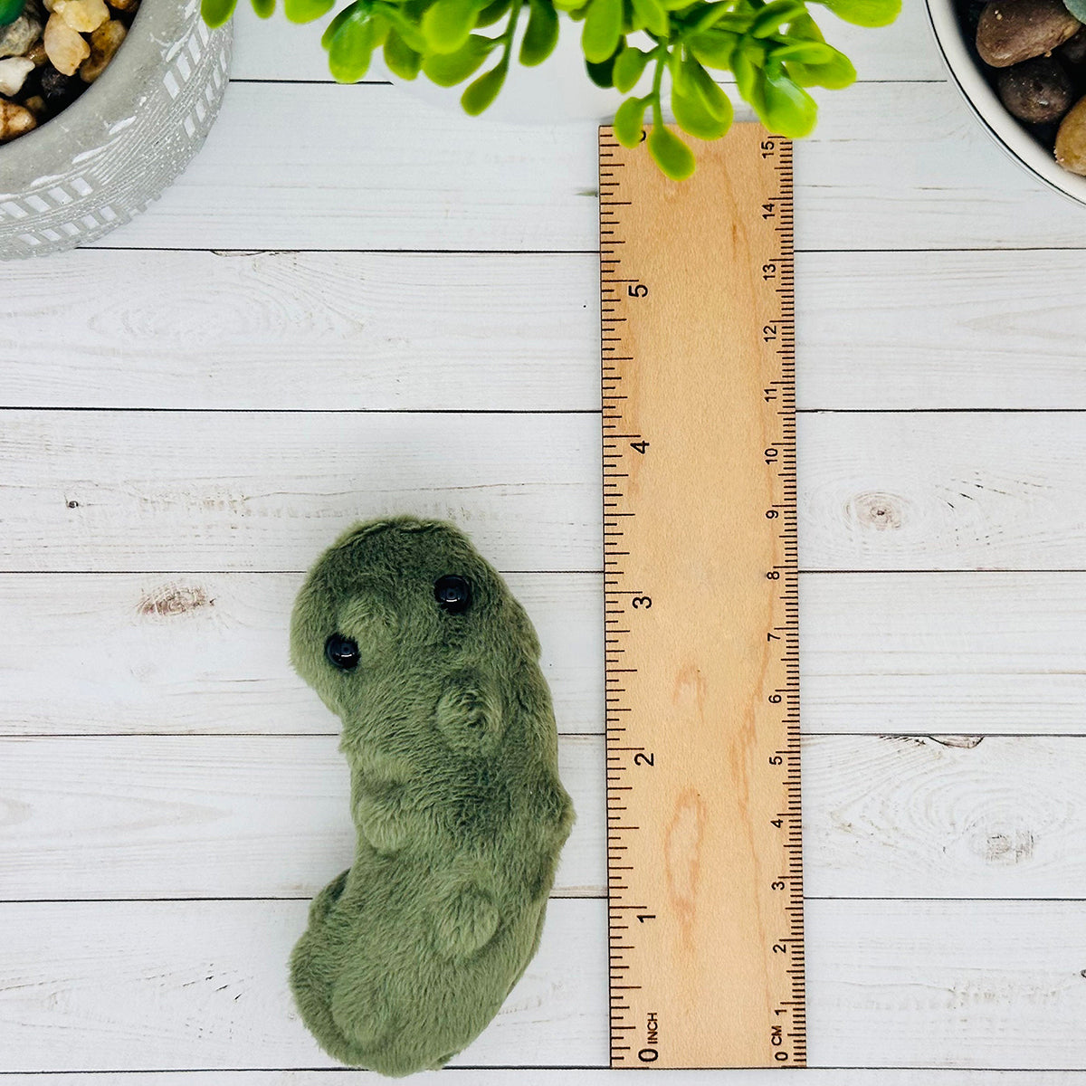 🥒Pocket Pickle Sensory Comfort Toy