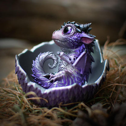 🐲🥚Dragon Hatchling