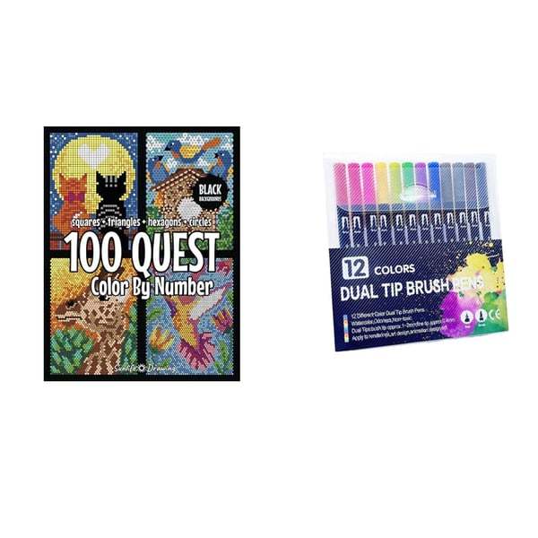 🎨100 QUEST Color by Numbers Book