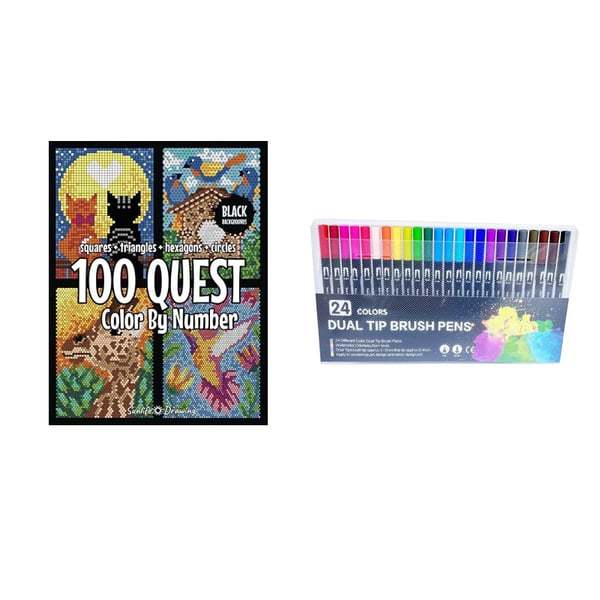 🎨100 QUEST Color by Numbers Book