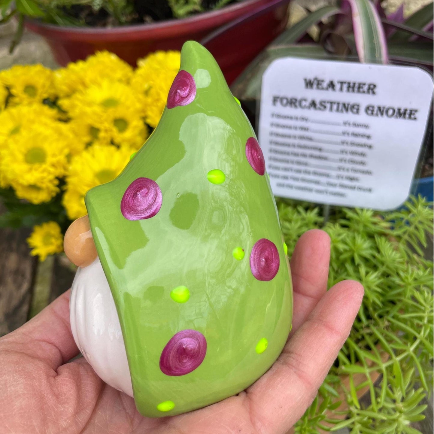 ⛅Funny Weather Forecasting Gnome