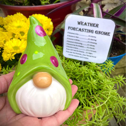 ⛅Funny Weather Forecasting Gnome