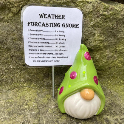 ⛅Funny Weather Forecasting Gnome
