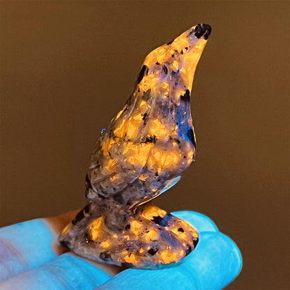 New Natural Emberlite Crow Statue Handcrafted
