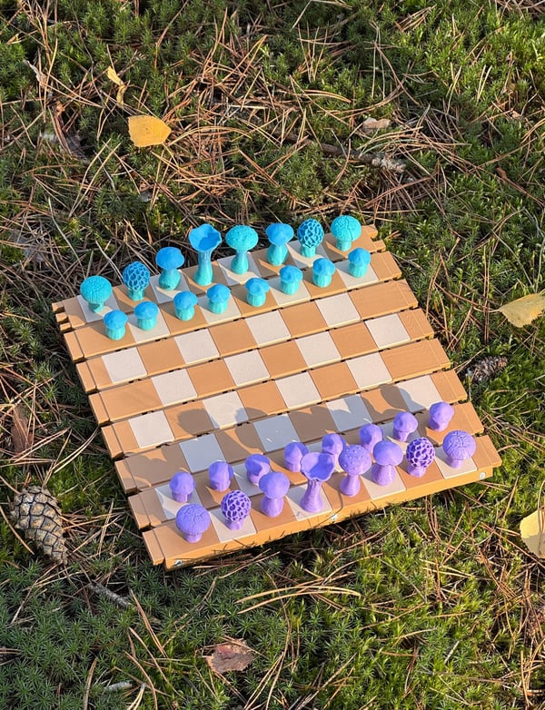 🍄 Magnetic Forest Mushrooms Chess ♟️